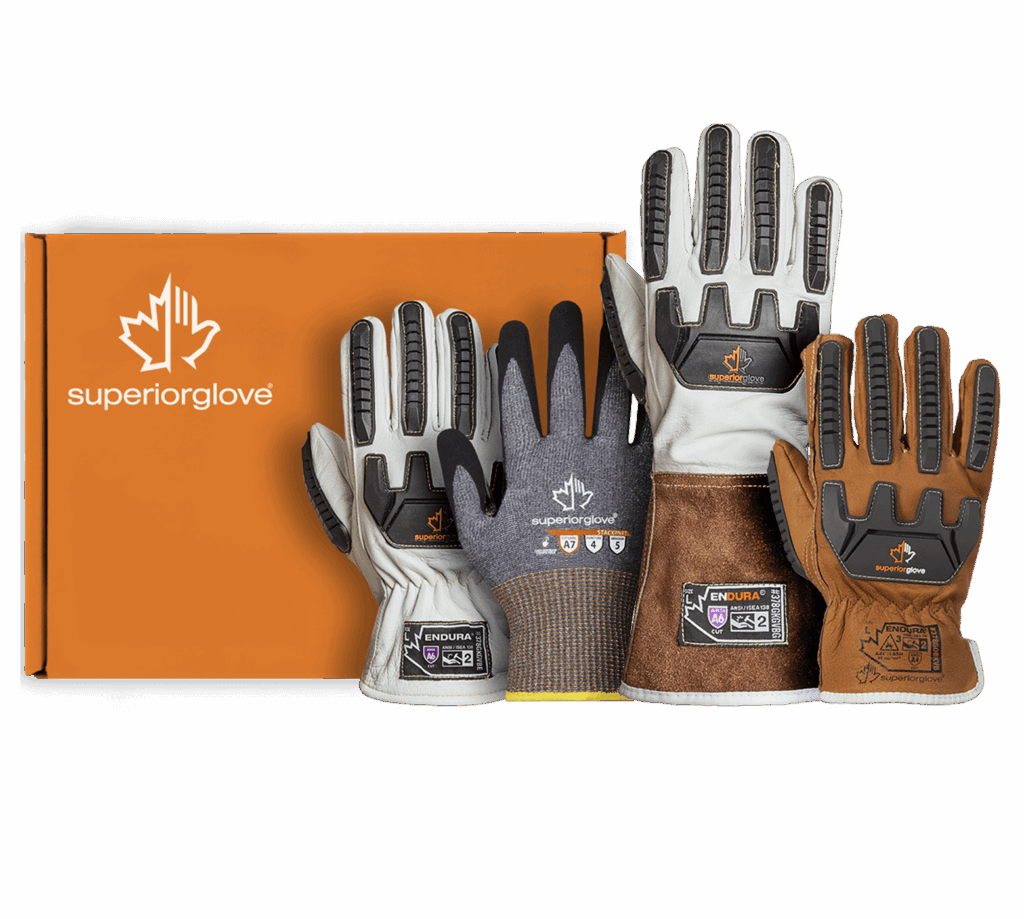 Whats-New-Sample-Box-Dec-2025-web